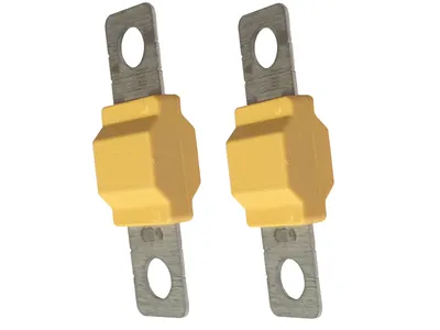 Sicherung 100A 2x für eXODA Big Sicherungshalter