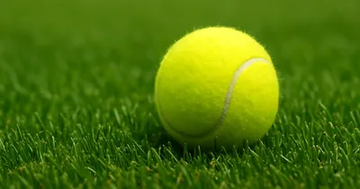 Alexander Zverev im Halbfinale der Terra Wortmann Open in Halle